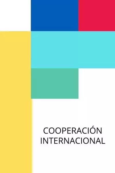 AGENCIA DE COOPERACIÓN INTERNACIONAL DEL JAPÓN